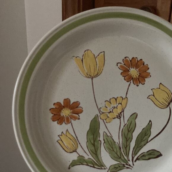 Vintage Country Casual “Sunnyvale” Dinner Plates, Set of 2 - Picture 2 of 7